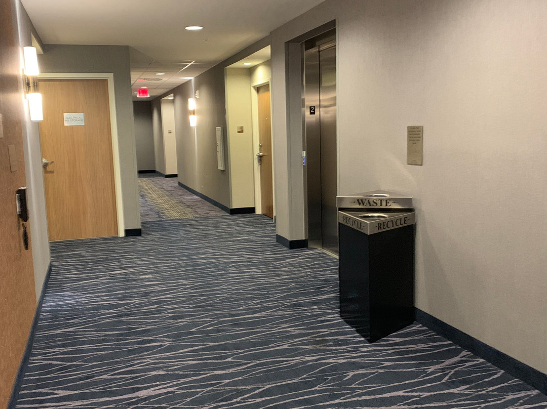 Fairfield Inn & Suites by Marriott Tampa Wesley Chapel主图