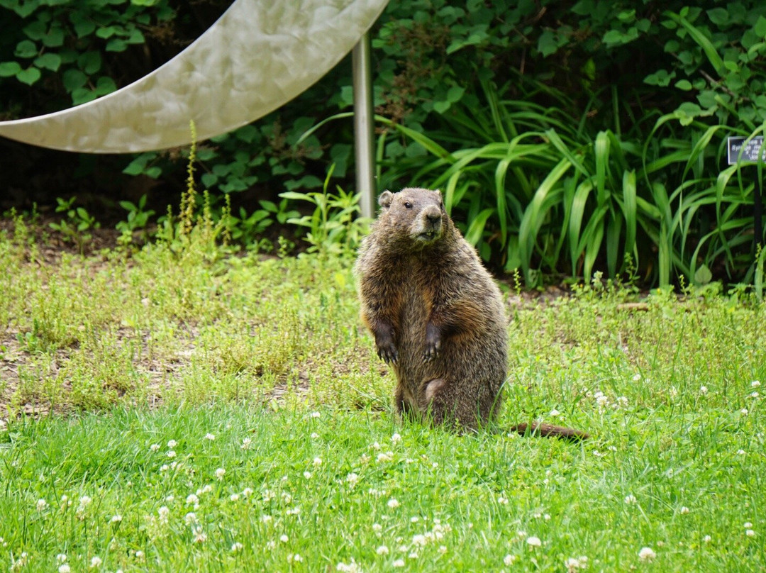 Luthy Botanical Garden-皮奥里亚必去景点