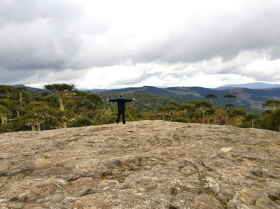 Nahuelbuta Adventure-Canete必去景点