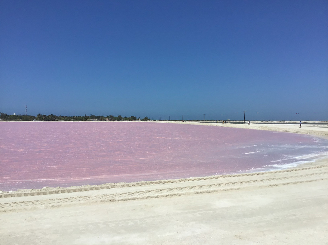 Fronteras de Ecoturismo-梅里达必去景点