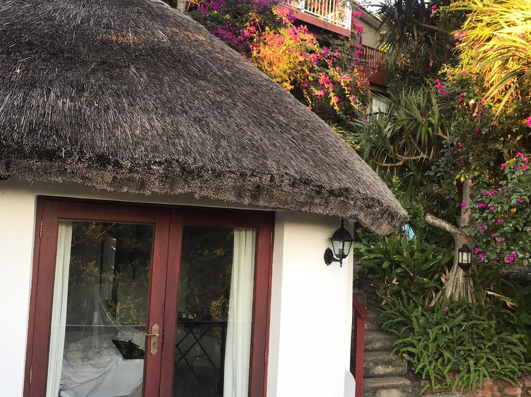 The Loerie Hide主图