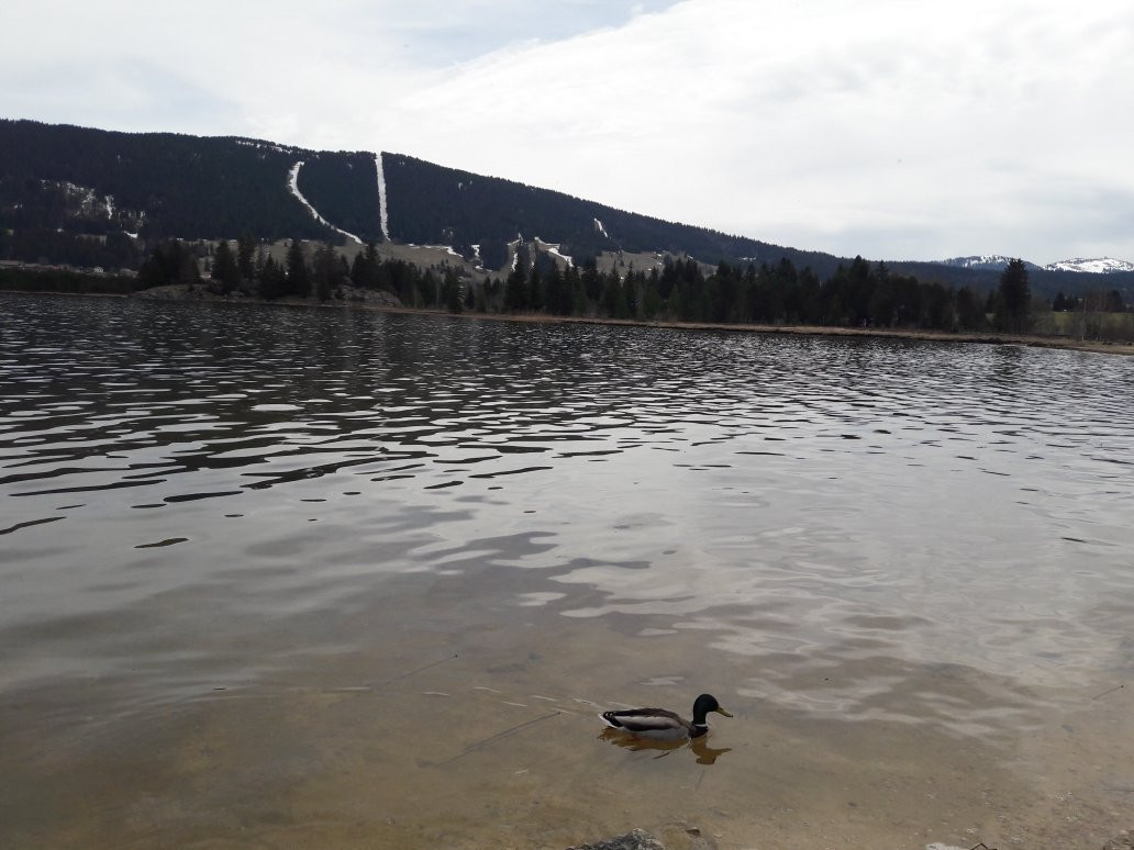 Randonnées Autour du Lac des Rousses景点图片