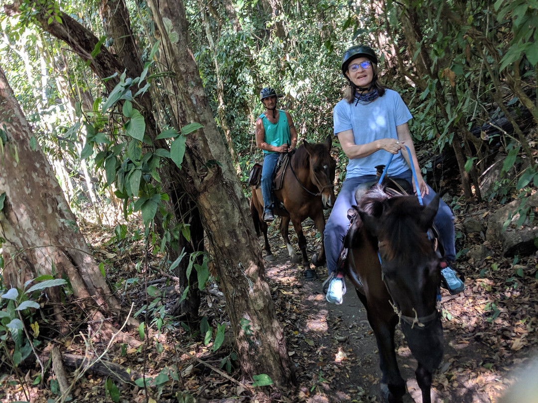Discovery Horseback Tours景点图片