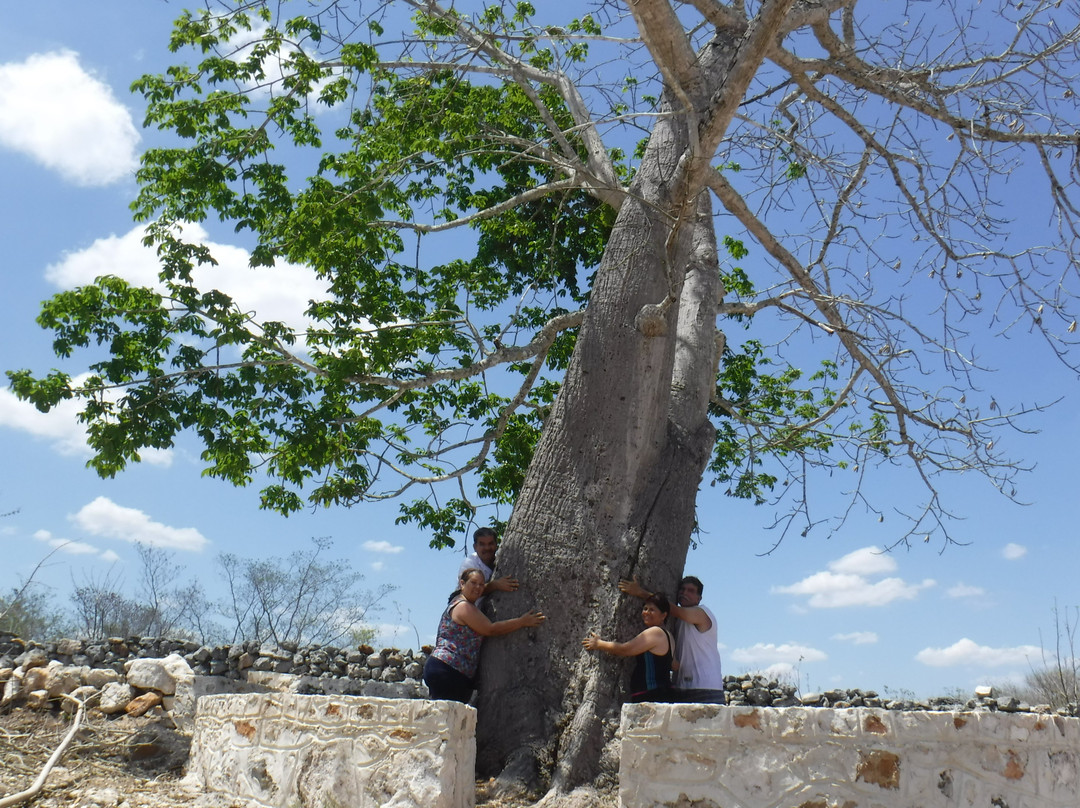 Cenote San Antonio景点图片