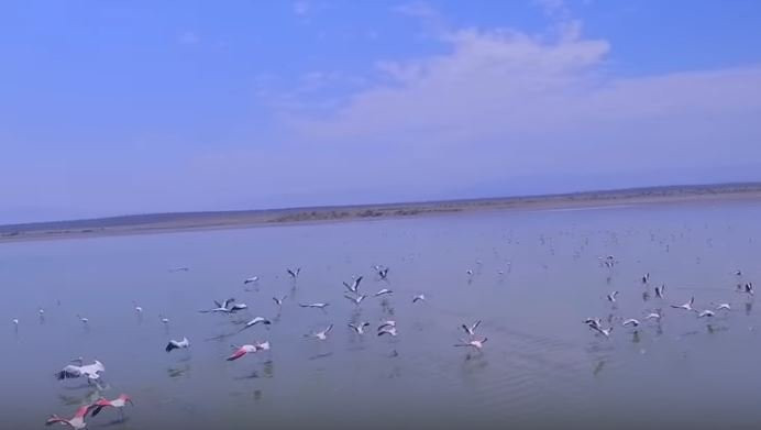 Lake Magadi Conservancy景点图片