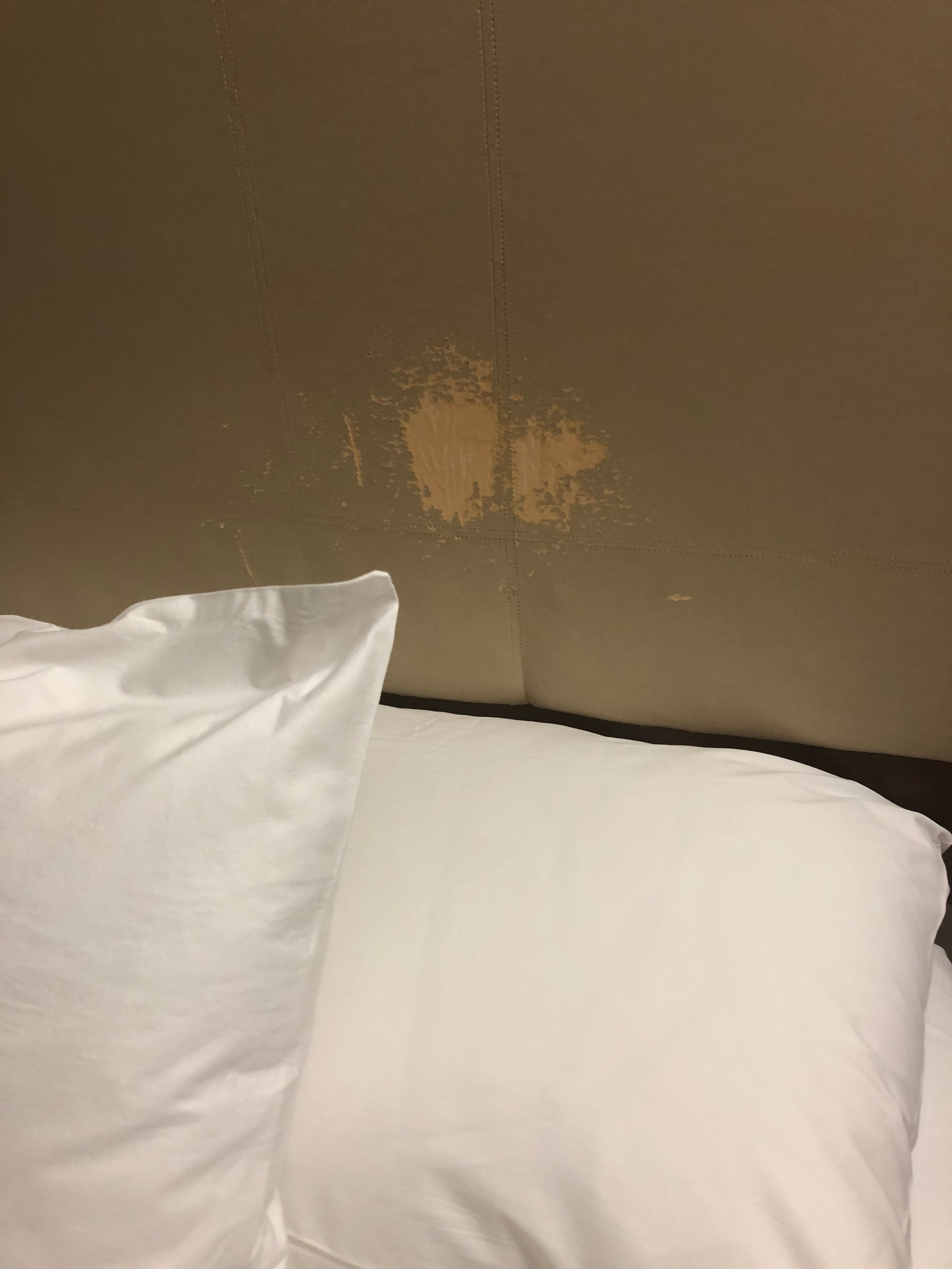 Hyatt Regency Morristown-portrait