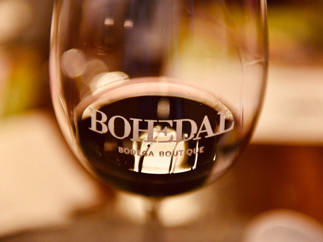 Bohedal Bodega Boutique景点图片