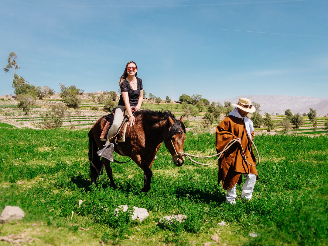 Fundo Sabandia-阿雷基帕必去景点