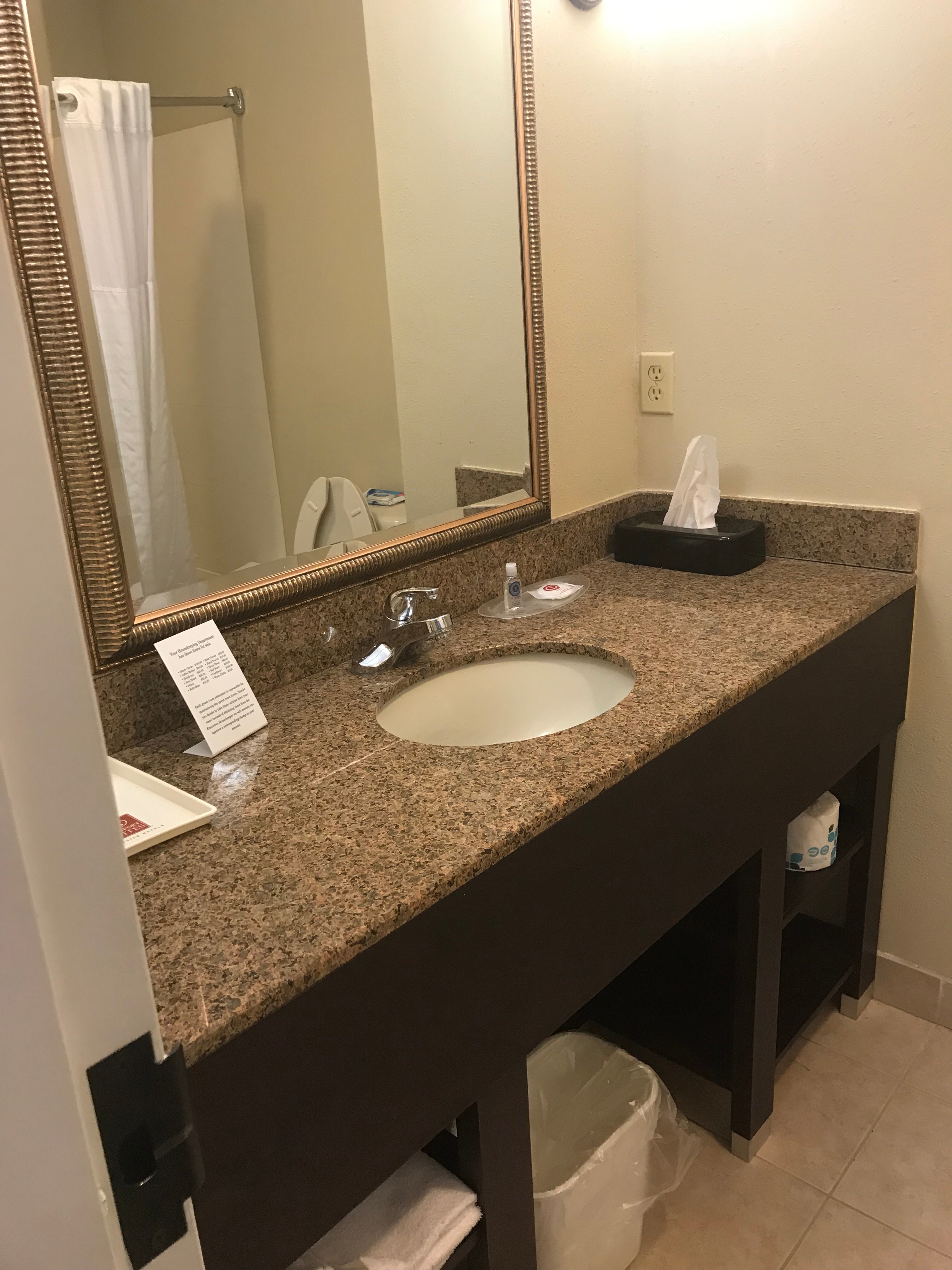 Comfort Suites Savannah North-浴室