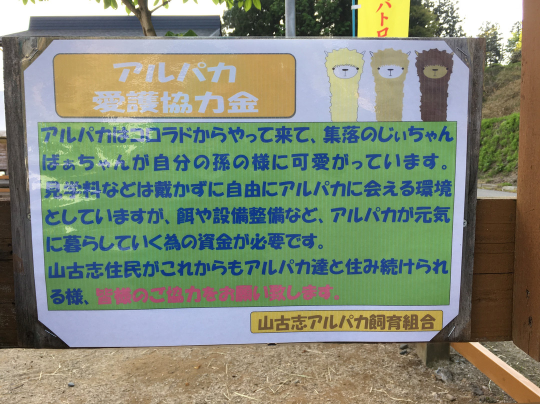 Yamakoshi Alpaca Farm-长冈市必去景点
