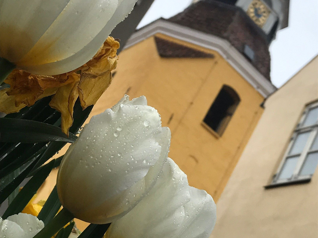 Danhostel Faaborg主图