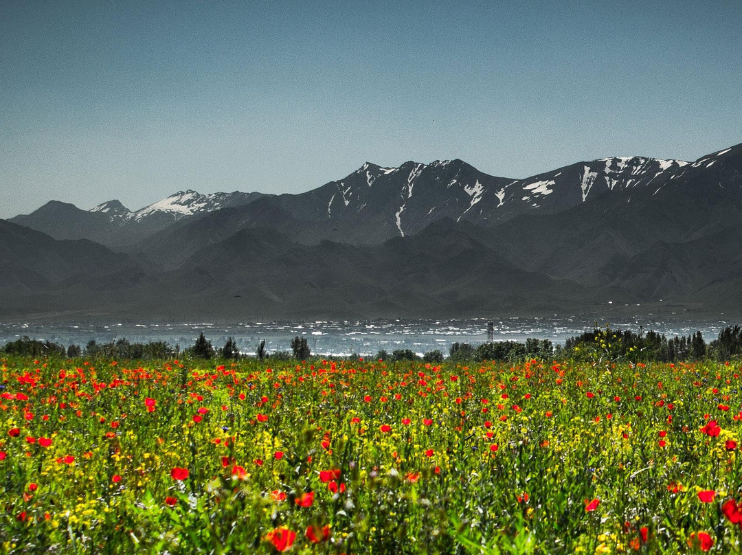 Jahongir Travel-撒马尔罕必去景点