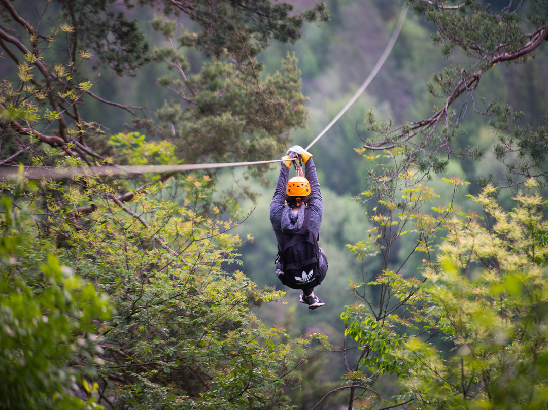 Zipline Dolinka景点图片