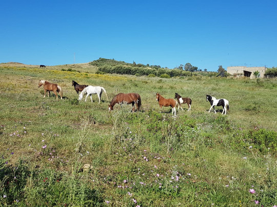 Sicilying-卡塔尼亚必去景点