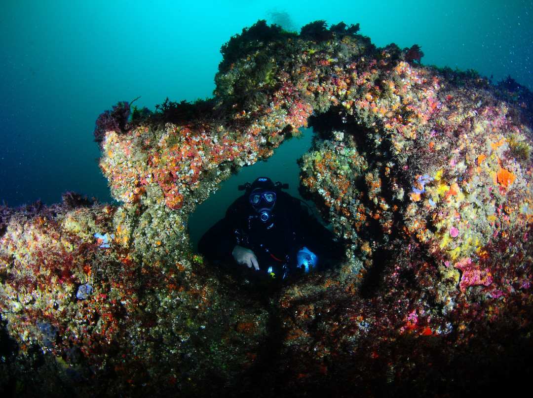 Haliotis Sesimbra-塞新布拉必去景点