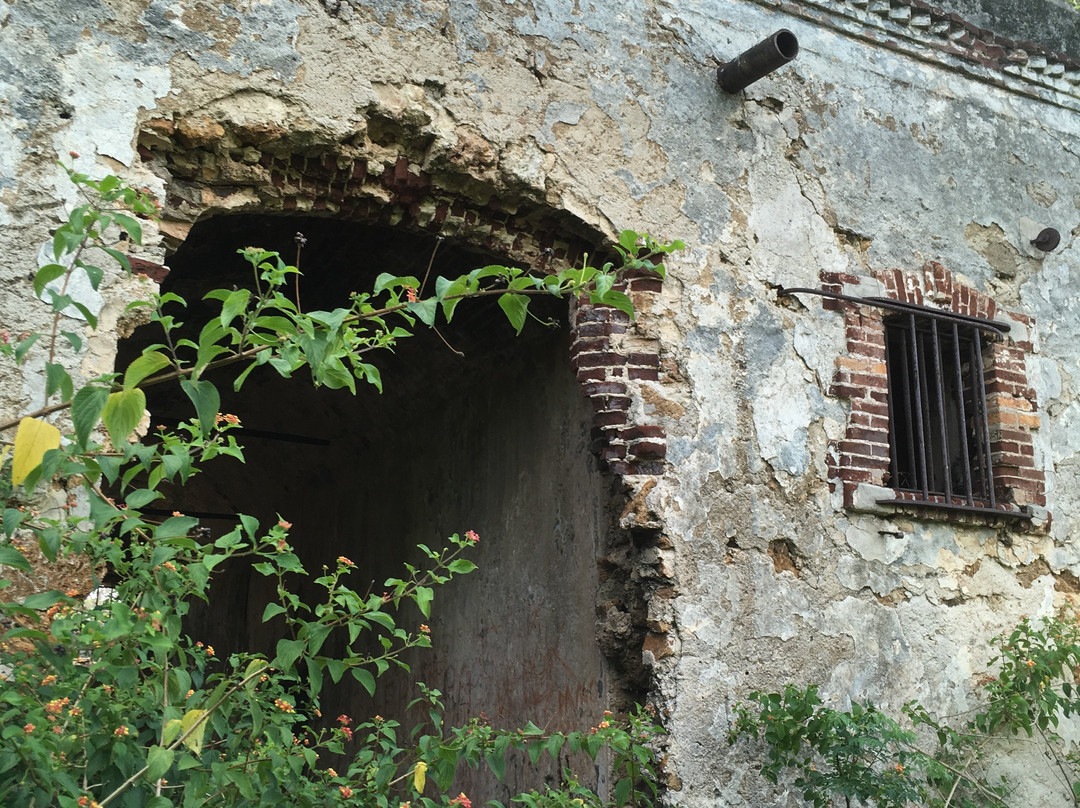 Vestiges du Bagne-Ile Des Pins必去景点