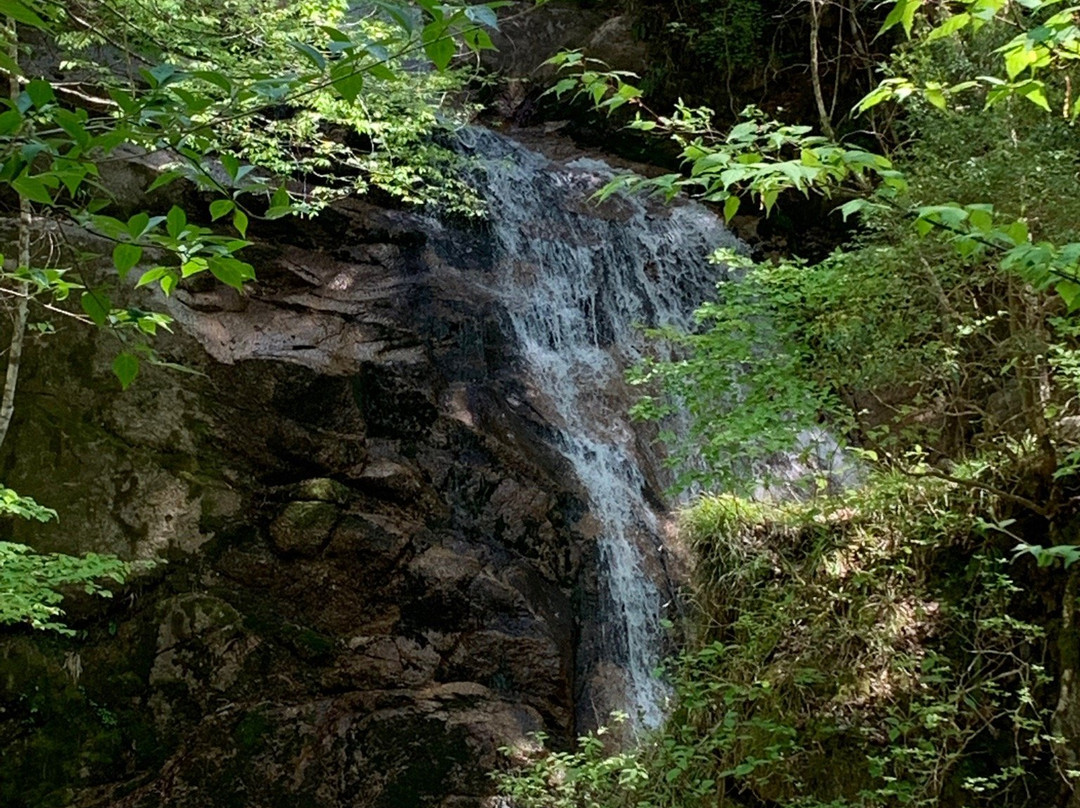 Odaki-Medaki Waterfalls景点图片