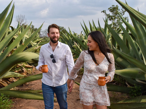 Atongo餐馆和美食-El Magueyal Finca Pulquera