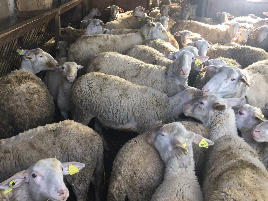 La Ferme du Merlet主图