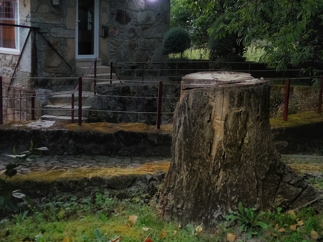 Quinta Vale Do Homem主图