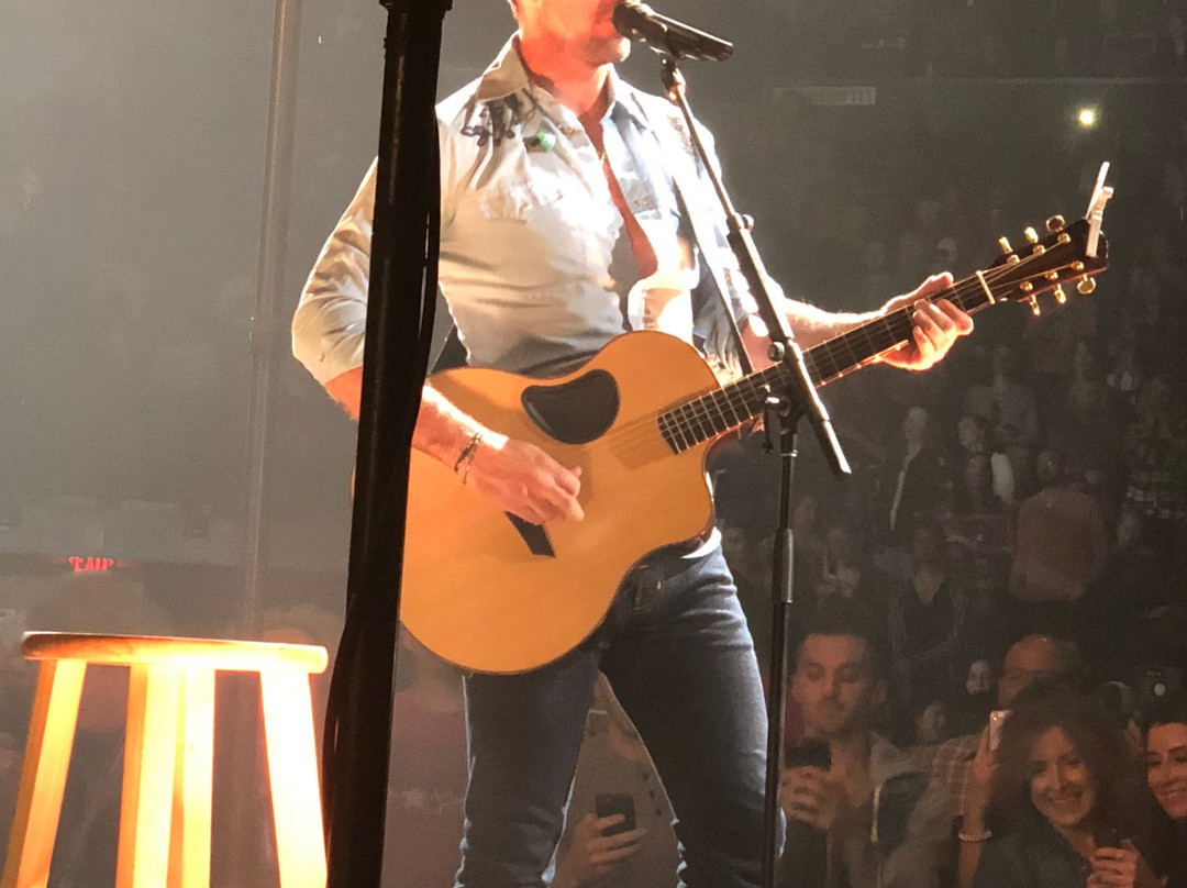 Now Arena-霍夫曼庄园必去景点