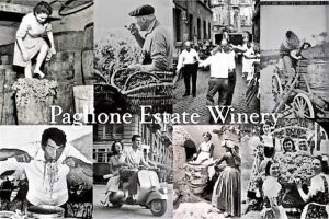 Paglione Estate Winery景点图片