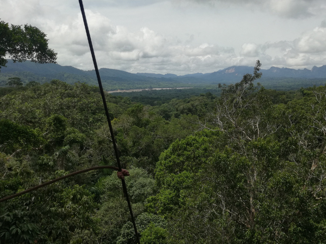 Canopy Villa Alcira-Rurrenabaque必去景点
