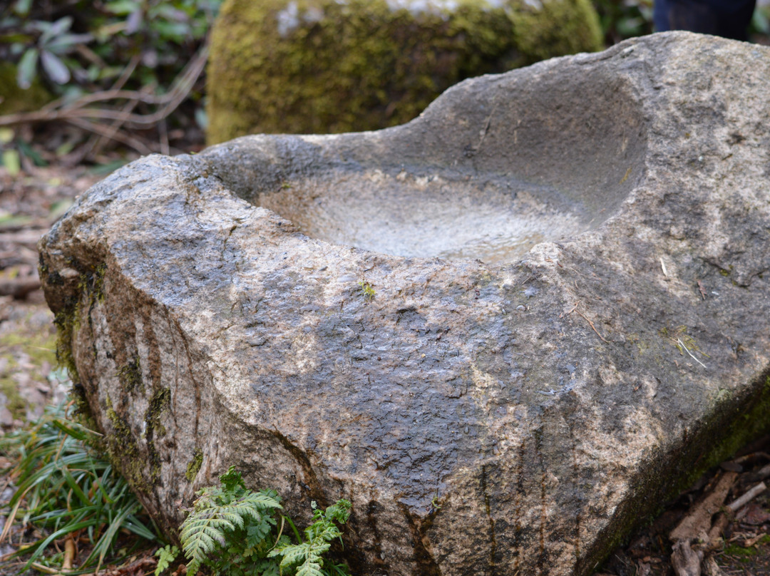 Glenbower Wood-Killeagh必去景点