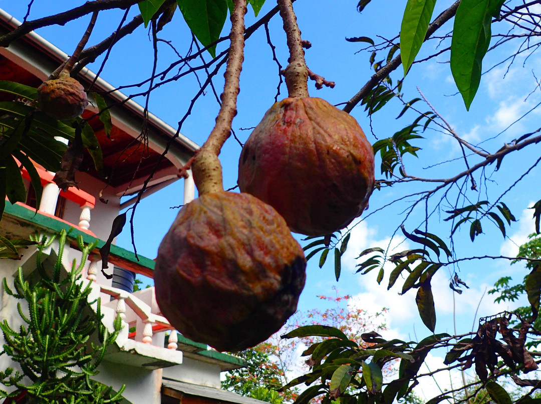 Drapers San Guest House主图