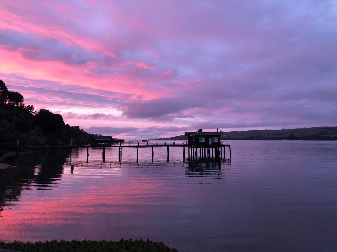 Dancing Coyote Beach主图