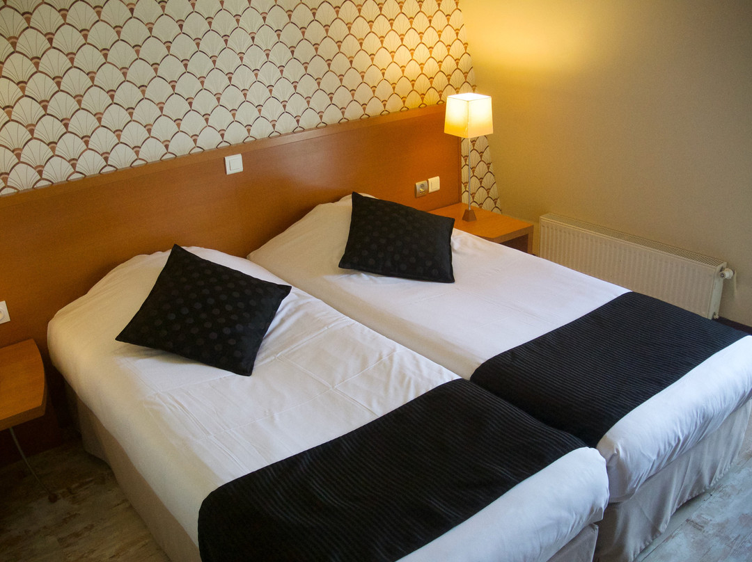 Hôtel Castel Burgond主图