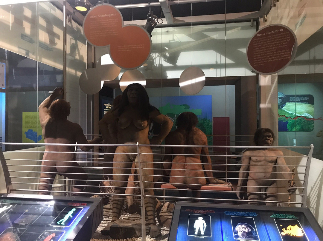 起源中心-约翰内斯堡必去景点