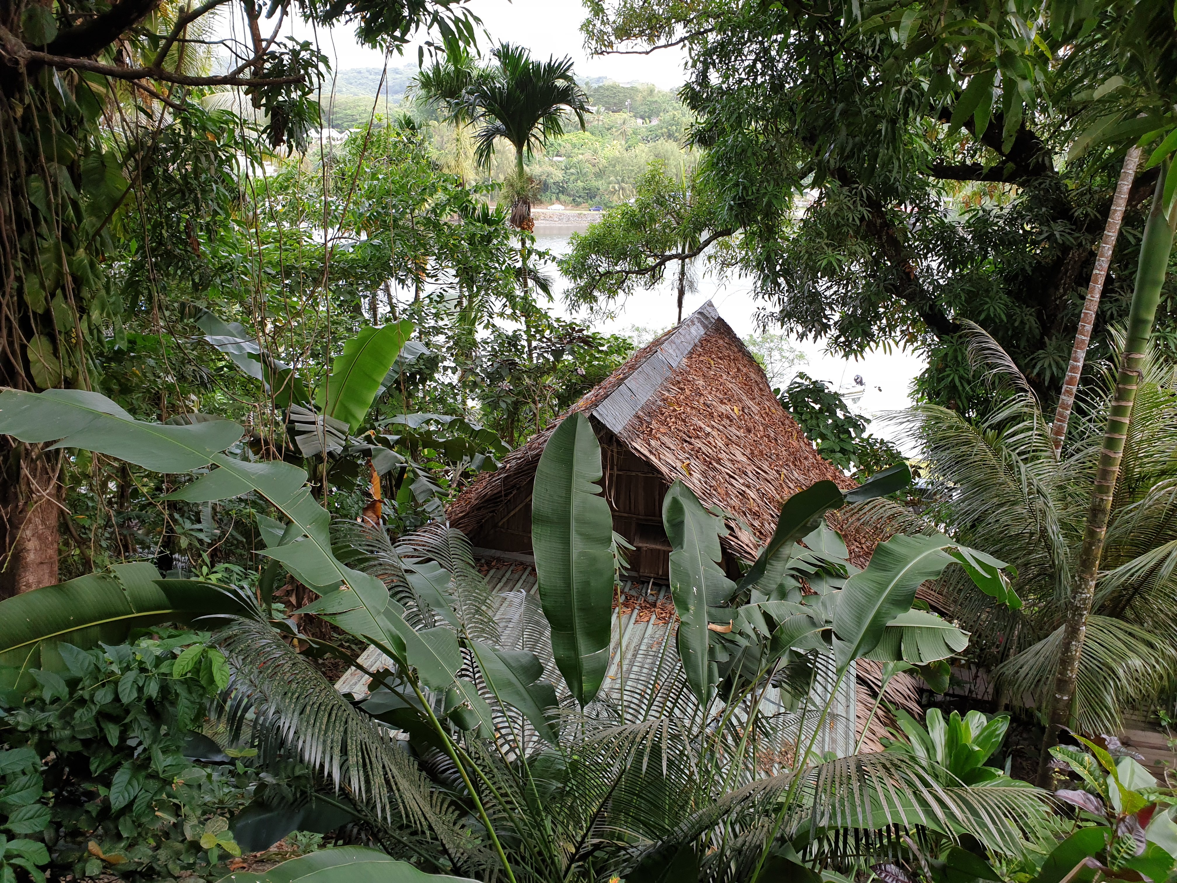 Oceania Hotel-酒店景观