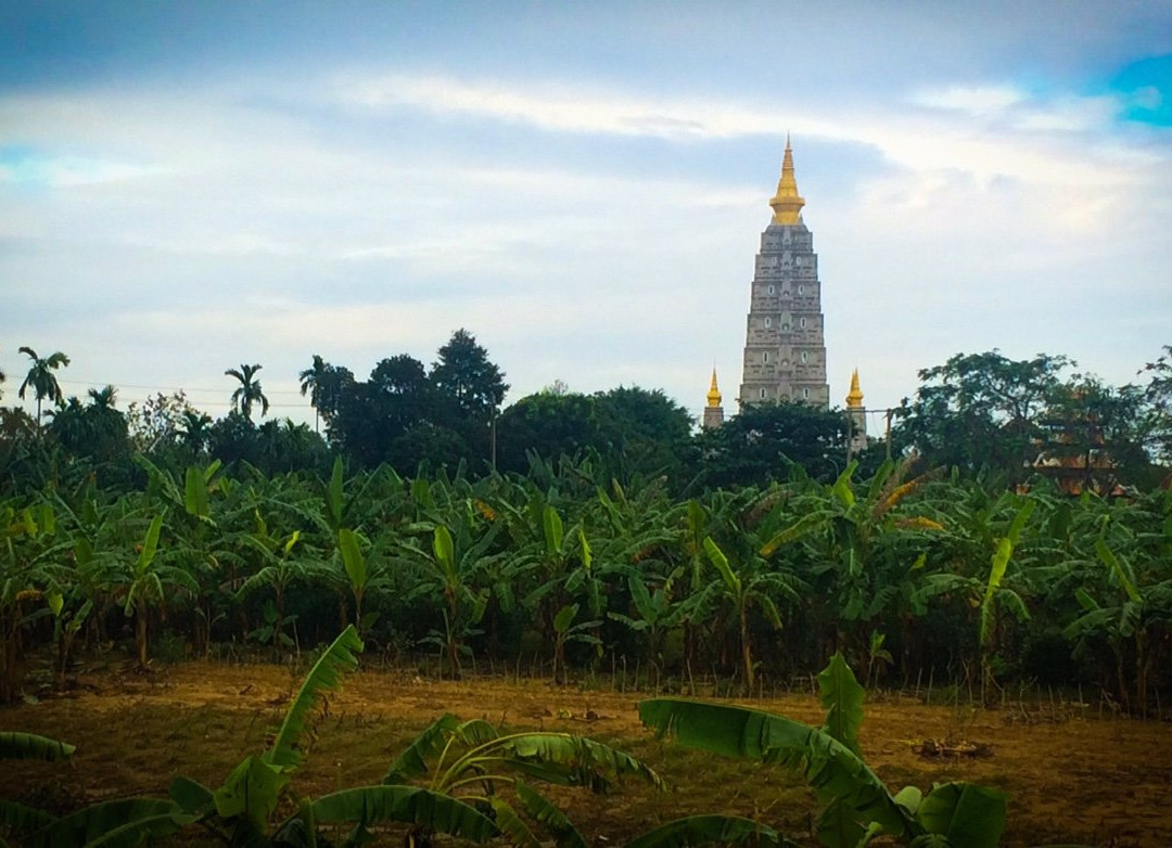 谭静园民宿主图