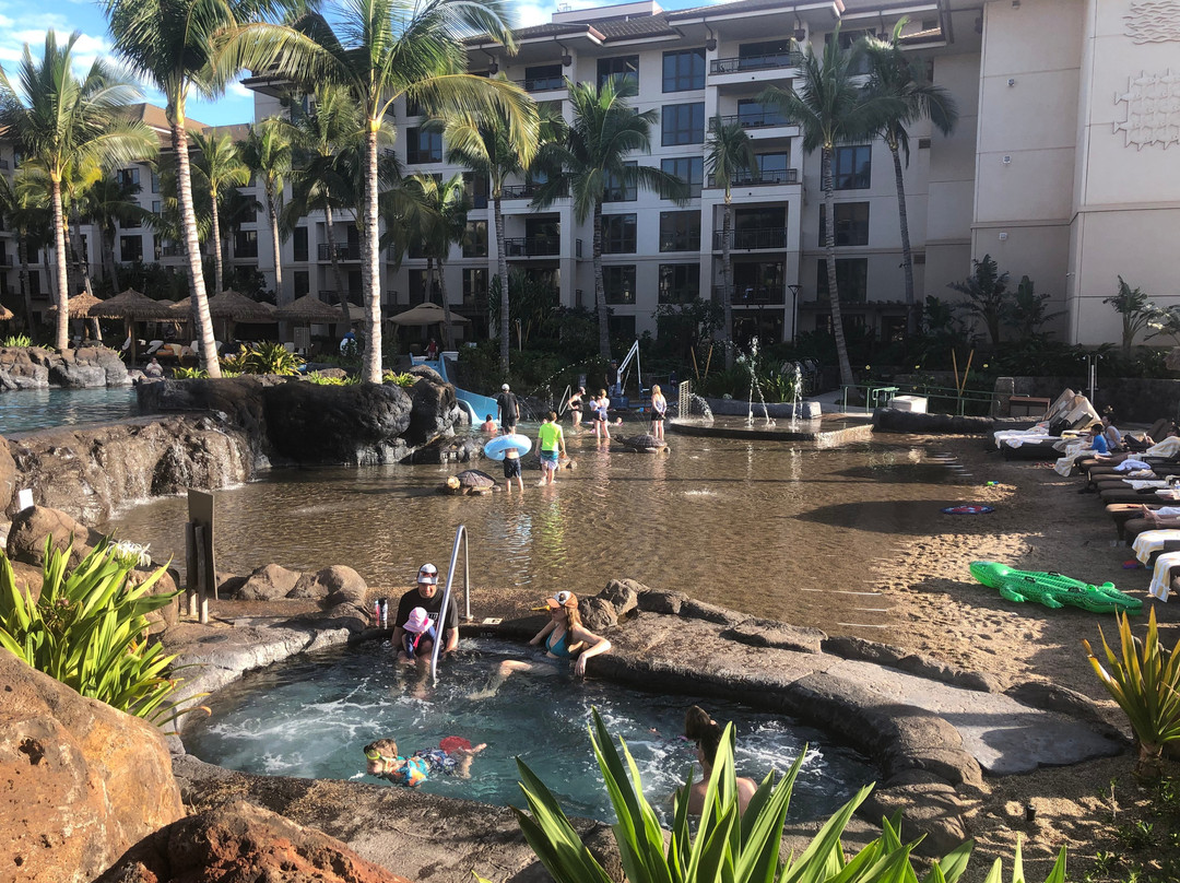 The Westin Nanea Ocean Villas, Ka'anapali主图
