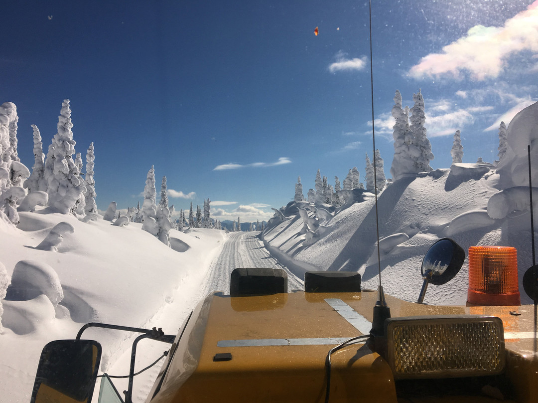 Fernie Wilderness Day Adventures-弗尼必去景点