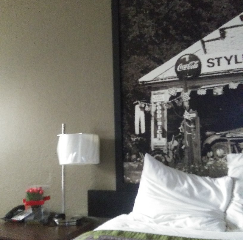 Super 8 by Wyndham Buffalo主图