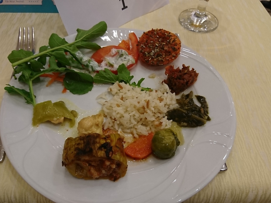 Adrina Termal Health & Spa Hotel主图