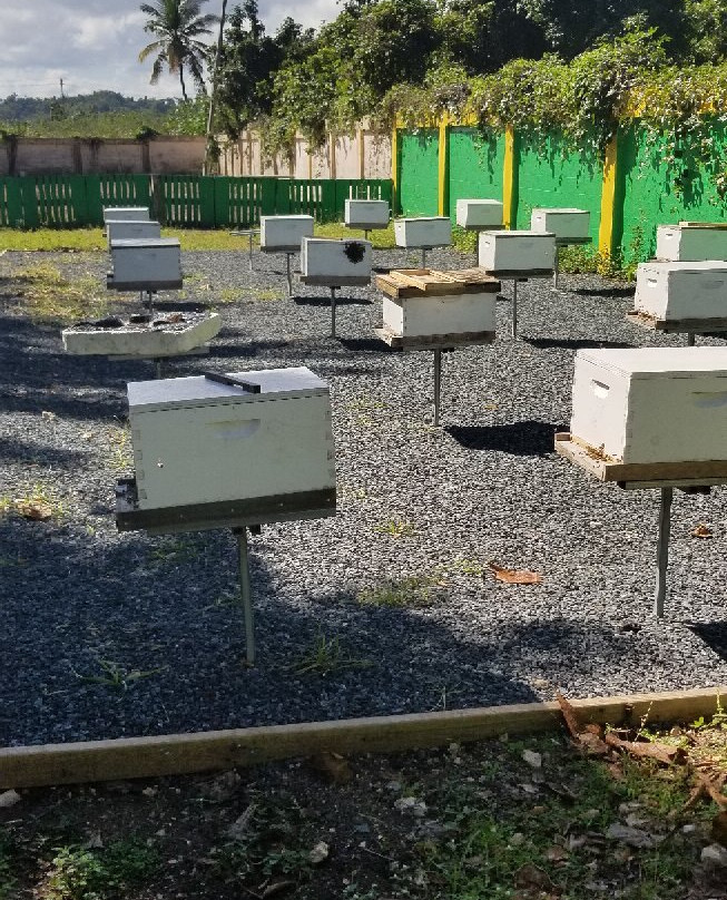 Monumento Historico Cueva Maria de La Cruz-Loiza必去景点