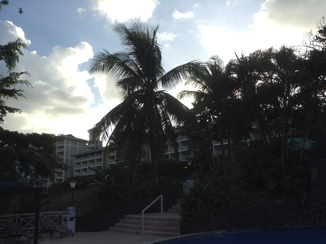 Gamboa Rainforest Reserve主图