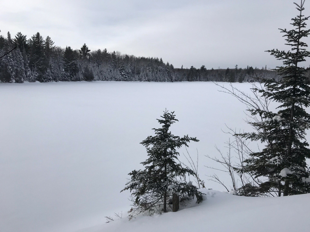 Peck Lake Trail景点图片