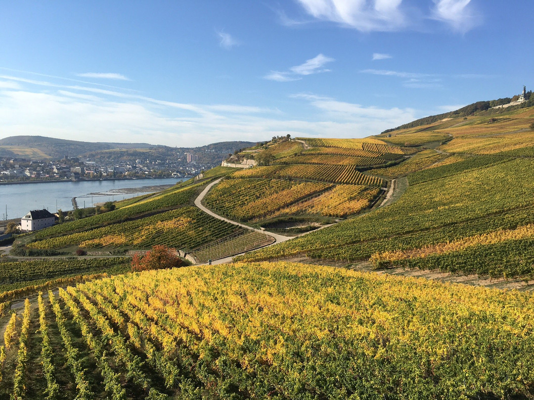 Weiler bei Bingen酒店住宿-Hotel Krone