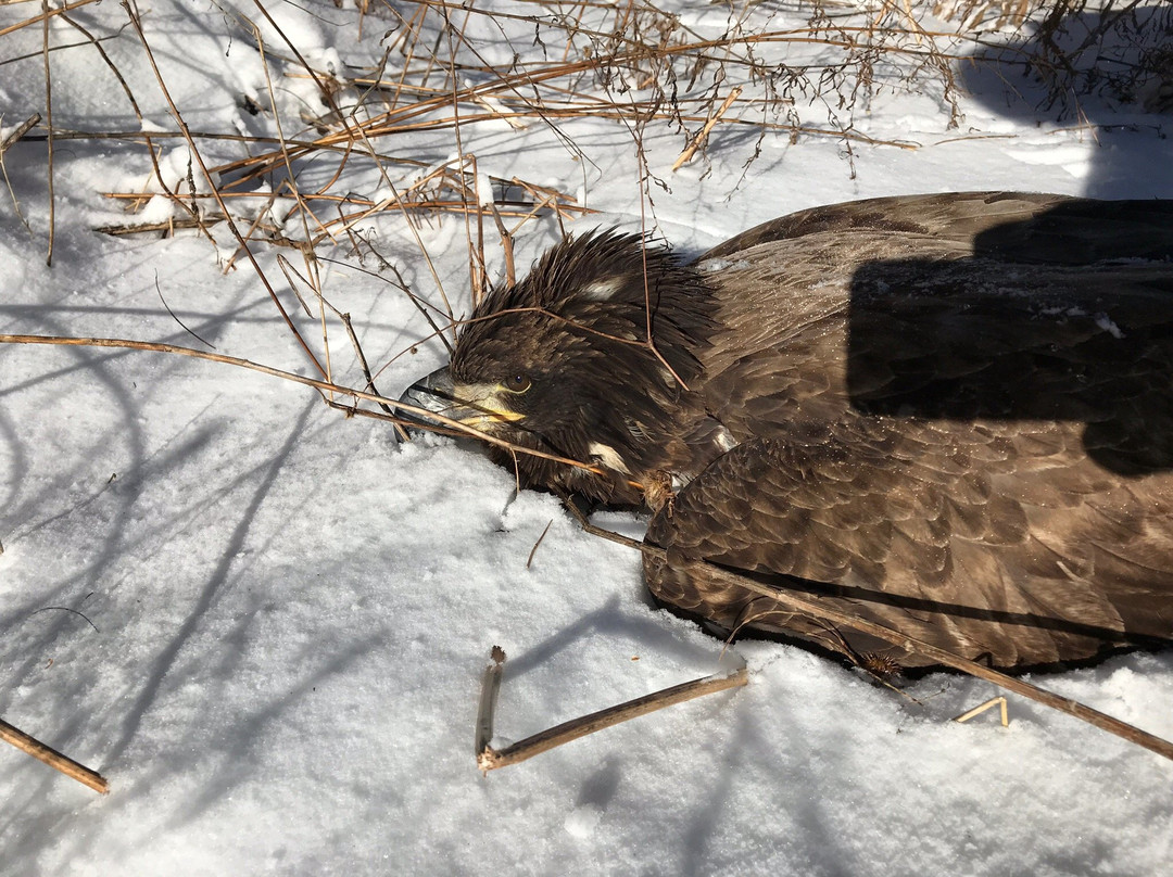 Christie Lake Conservation Area-邓达斯必去景点