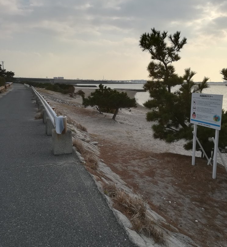 Taya Beach-常滑市必去景点