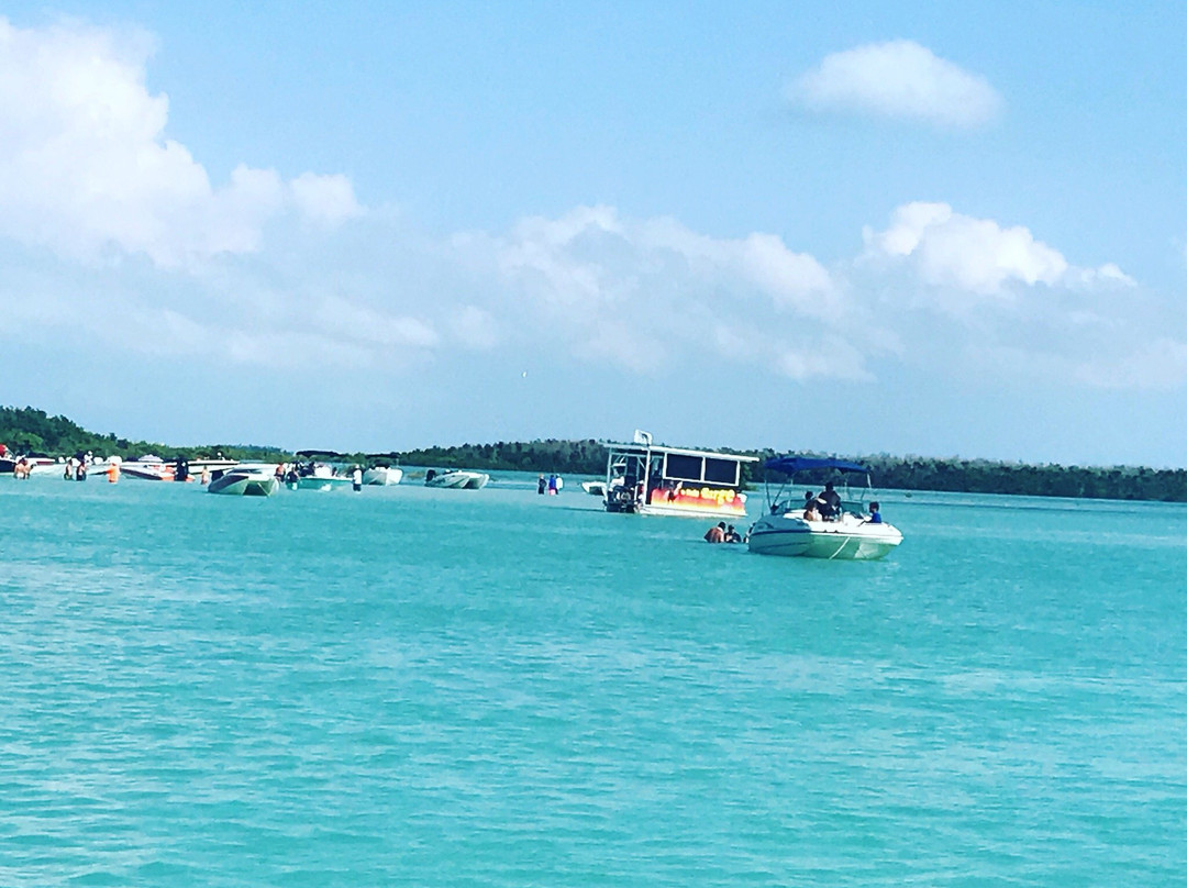 Leisure Cat Adventure Tours-Stock Island必去景点