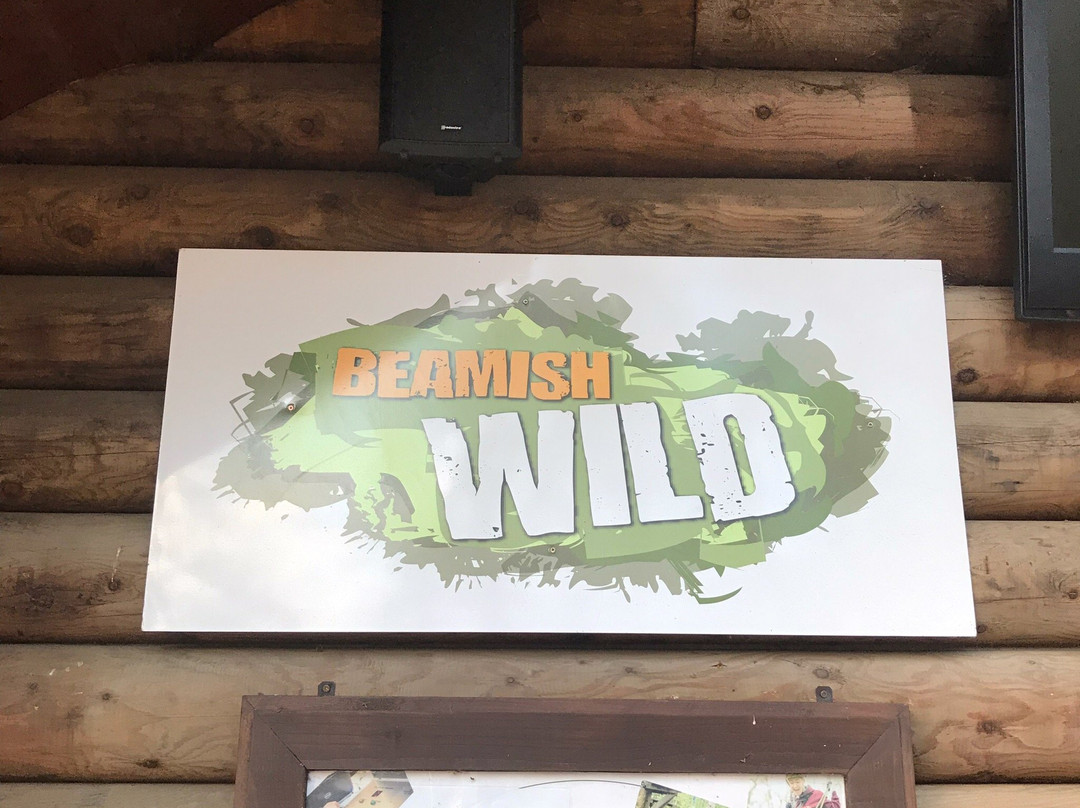 Beamish Wild景点图片
