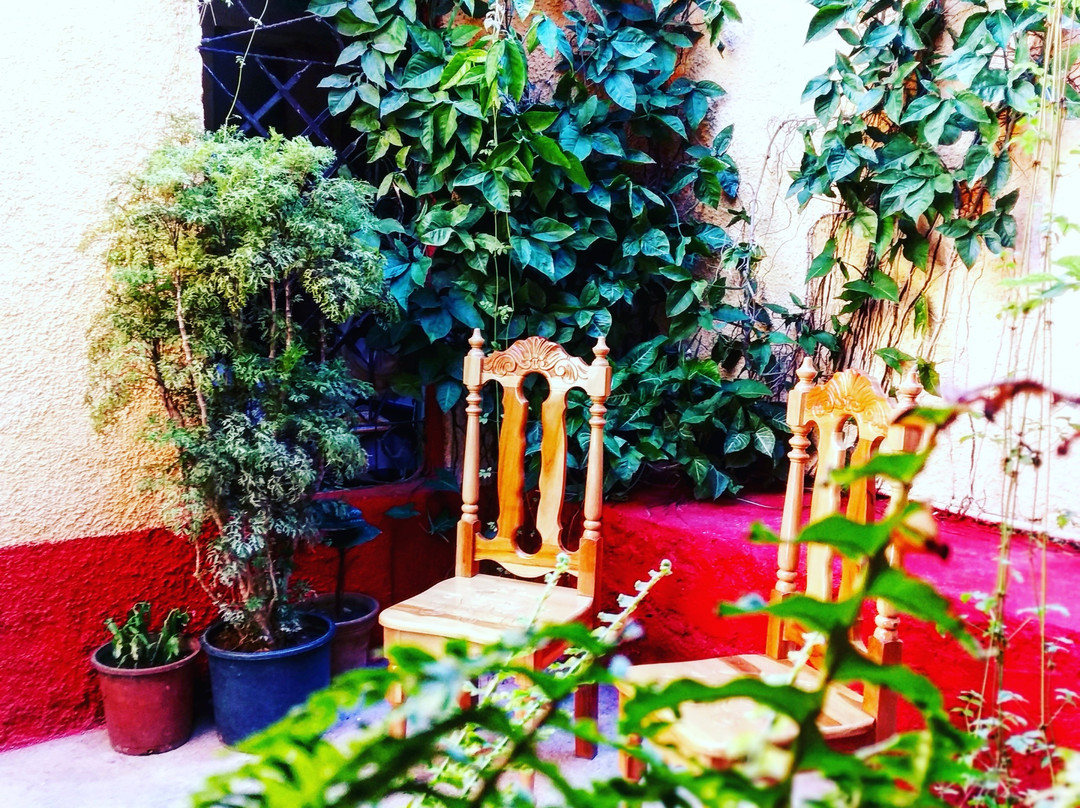 Casa B @ B Amarilys主图