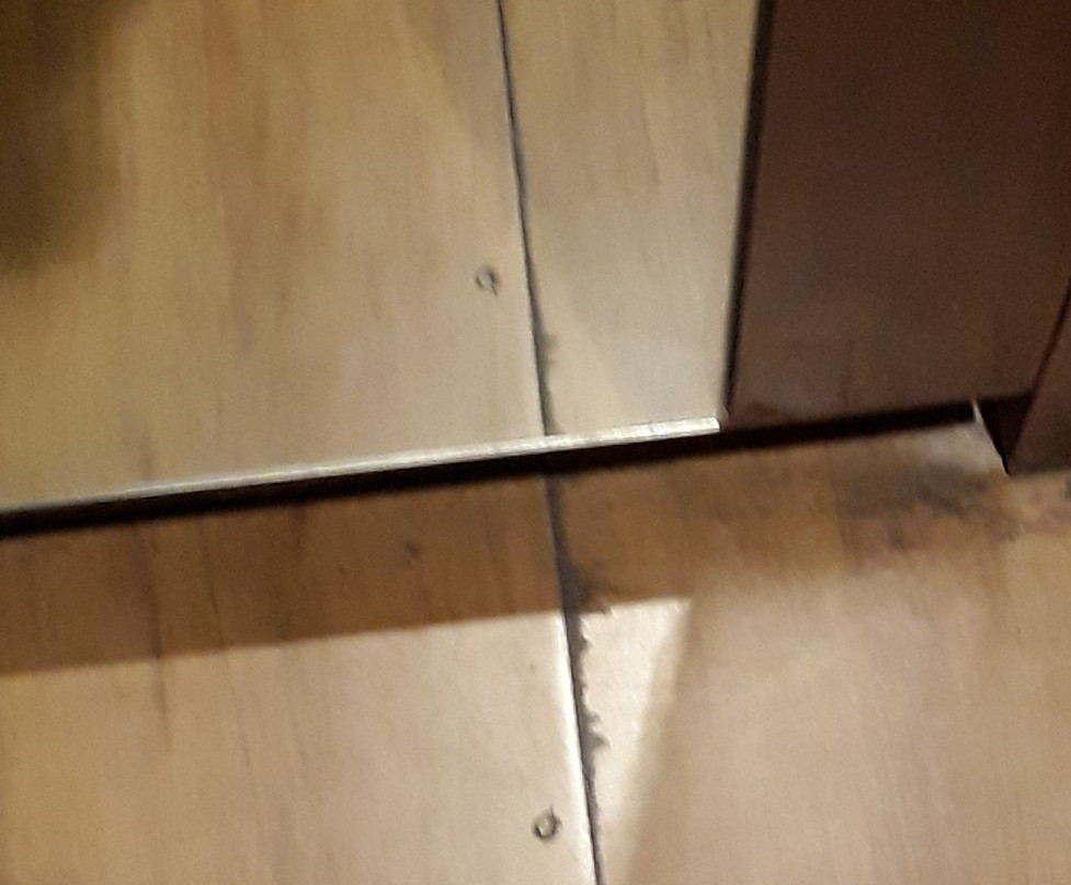 The Lalit Traveller Hotel主图