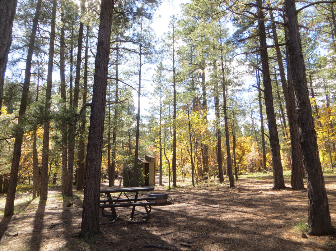 Dairy Springs Campground主图