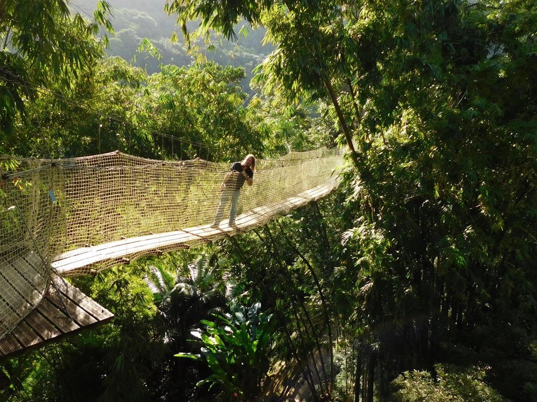 Jardin de Balata-法兰西堡必去景点